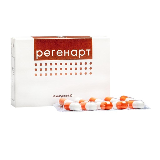 [1113014] Регенарт